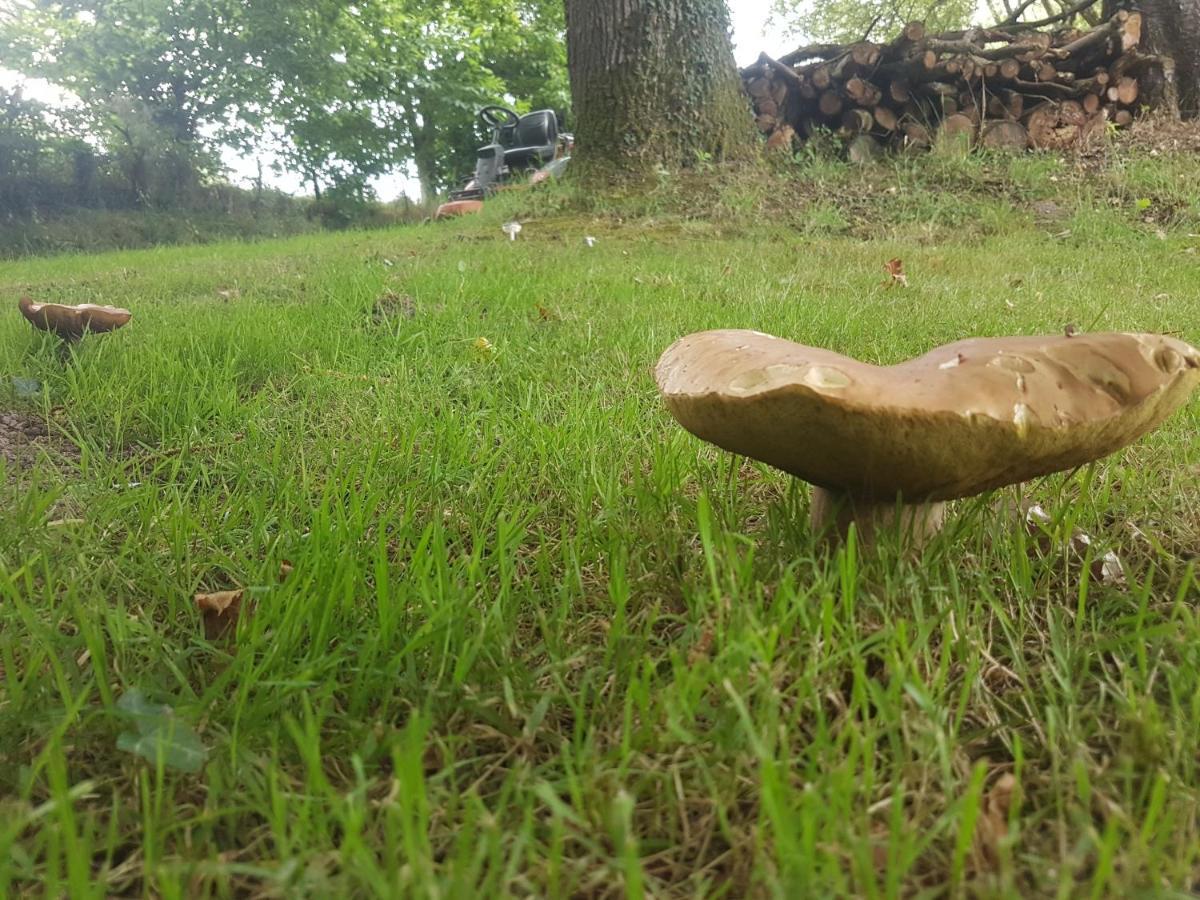 camping de la chagnée Saint-Aubin-le-Cloud Esterno foto