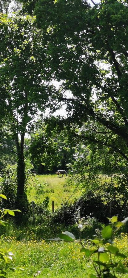 camping de la chagnée Saint-Aubin-le-Cloud Esterno foto