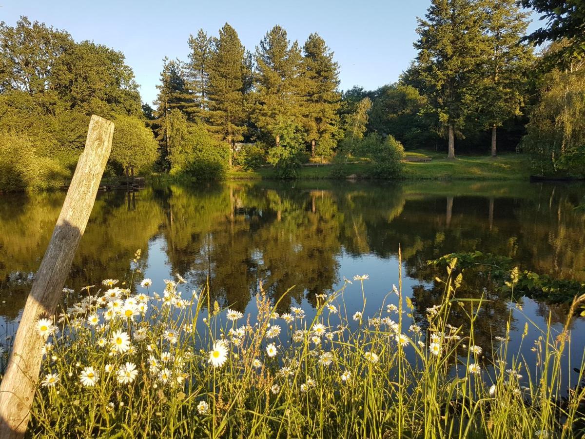camping de la chagnée Saint-Aubin-le-Cloud Esterno foto