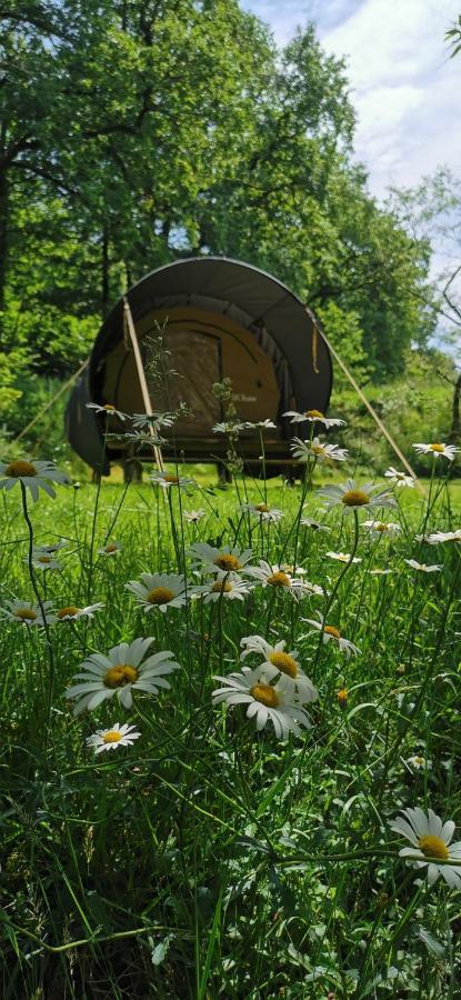 camping de la chagnée Saint-Aubin-le-Cloud Esterno foto