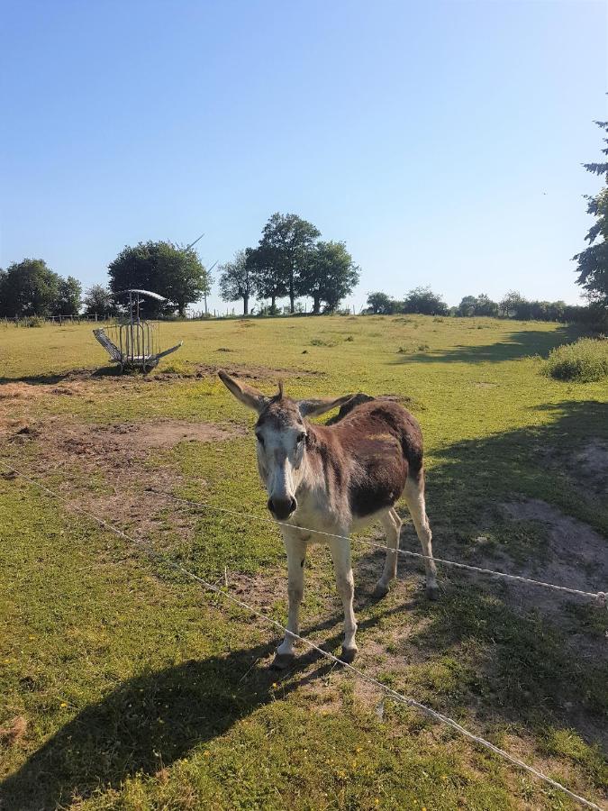 camping de la chagnée Saint-Aubin-le-Cloud Esterno foto